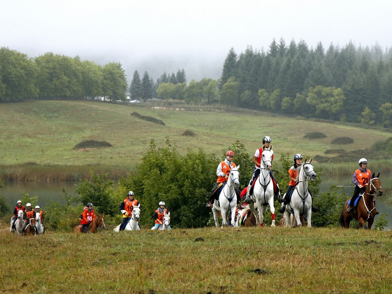 Raid CEI** y CEI*, Copa Interautonom&iacute;as 2012, 21 y 22 de abril en Figarol-Bardenas Reales